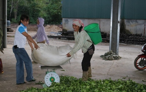 Khánh thành Bệnh viện Đa khoa huyện biên giới Mường Khương (Lào Cai) - Ảnh 1.