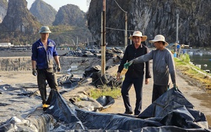 Bảo hiểm nông nghiệp ở đâu khi nông dân thiệt hại nặng nề: Vì sao chưa tương xứng với tiềm năng? - Ảnh 4.