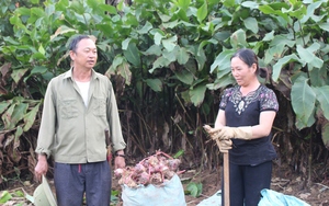 Bắc Yên (Sơn La): Đưa pháp luật vào đời sống bà con dân tộc vùng cao. - Ảnh 8.