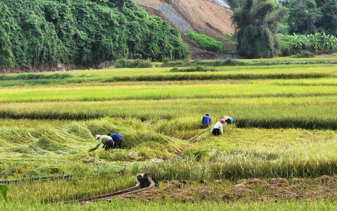 Khu vực nào có nhiều gói thầu đầu tư công chỉ 1 đơn vị tham gia? - Ảnh 9.