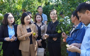 Mường Khương làm gì để bảo tồn và phát huy bản sắc văn hóa các dân tộc thiểu số? - Ảnh 5.