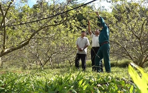 Phát huy sức mạnh đại đoàn kết toàn dân tộc Yên Châu  - Ảnh 5.