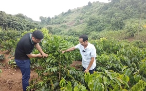 Nâng cao kiến thức, kỹ năng tuyên truyền trong xây dựng NTM - Ảnh 8.