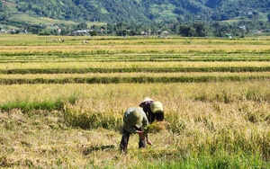 Lai Châu: Chủ tịch UBND huyện Than Uyên đối thoại với thanh thiếu niên - Ảnh 8.