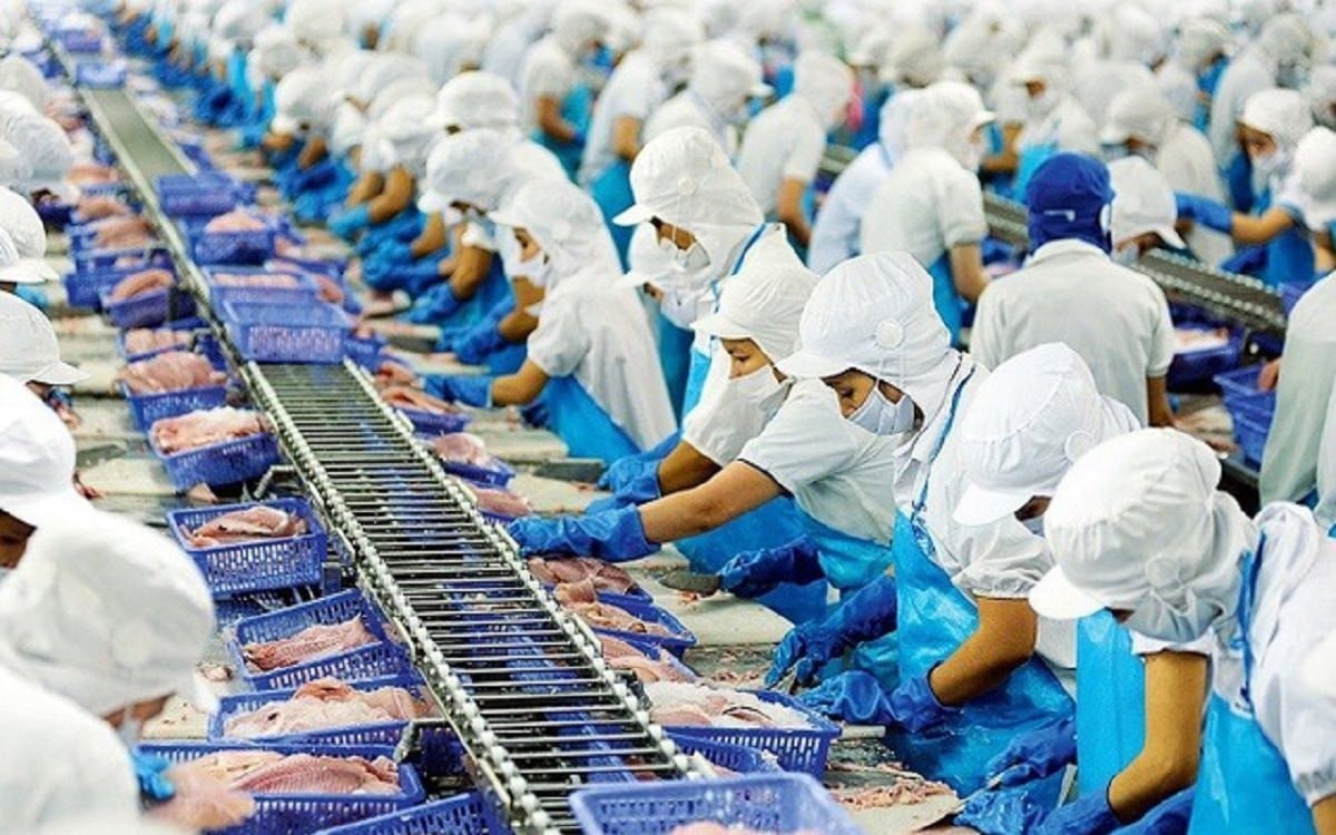FTA Việt Nam - Mercosur khởi động đàm phán: Kỳ vọng cho XK cá tra sang Brazil - Ảnh 6.