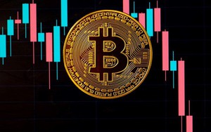 Giá Bitcoin neo dưới 92.000 đô la: Chờ cú hích đủ mạnh - Ảnh 3.