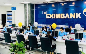 Eximbank tăng vốn điều lệ ngay trước Đại hội đồng cổ đông bất thường  - Ảnh 4.