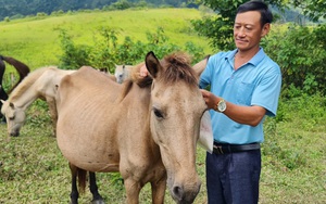 Chương trình Mục tiêu quốc gia - "Chìa khóa" mở cánh cửa thoát nghèo ở Tủa Chùa - Ảnh 5.