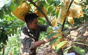 Nông dân Sơn La tham gia phân loại, thu gom và vận chuyển rác ở nông thôn - Ảnh 8.