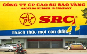 Trung Quốc vẫn là thị trường xuất khẩu cao su lớn nhất của Việt Nam với giá bán tăng mạnh - Ảnh 8.