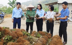 Người đánh thức du lịch cao nguyên trắng Bắc Hà- Ảnh 9.