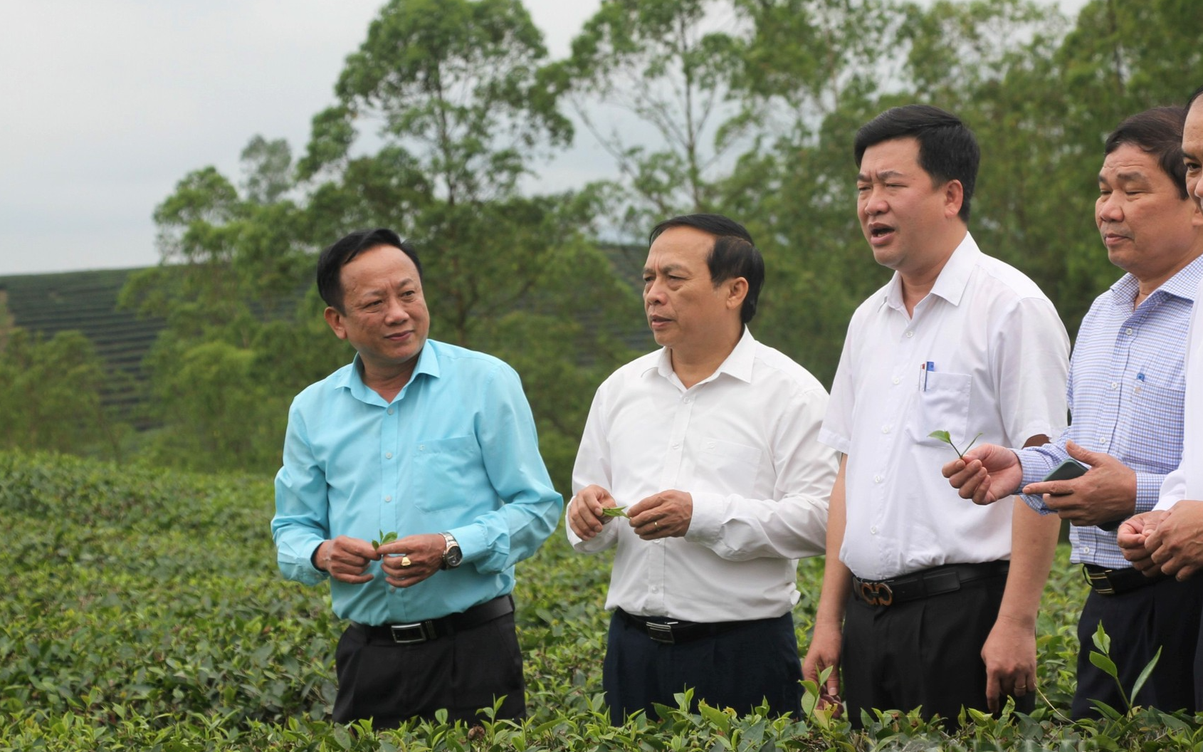 TP Lai Châu nâng cao hiệu quả phong trào "Toàn dân bảo vệ an ninh Tổ quốc trong tình hình mới" - Ảnh 3.