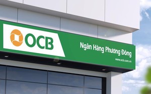 Phó Tổng Giám đốc OCB xin từ nhiệm sau 14 năm gắn bó - Ảnh 3.