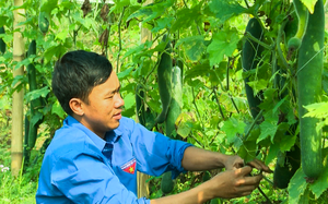 Xây dựng nông thôn mới, bản làng ở nơi này tươi đẹp, đáng sống - Ảnh 1.