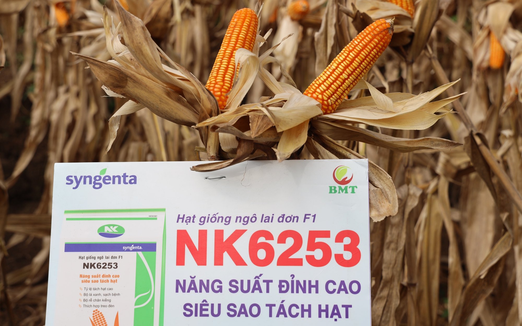Bắc Yên: Mở rộng cơ hội việc làm để giảm nghèo đa chiều - Ảnh 5.