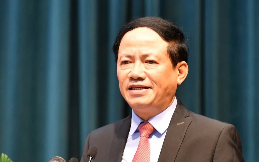 Cả nghìn ha lúa vụ Đông - Xuân của nông dân Bình Định nguy cơ "chết" giống, do mưa lớn bất ngờ- Ảnh 5.