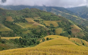 Từng bước nâng cao thu nhập, cải thiện đời sống người dân xã vùng cao Bắc Yên - Ảnh 2.