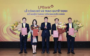 Chân dung ông Lưu Danh Đức - tân Phó Tổng Giám đốc LPBank  - Ảnh 5.