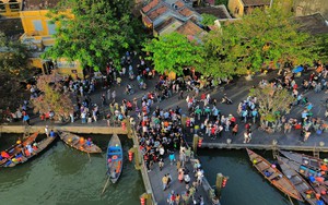 Thành phố Tam Kỳ (Quảng Nam) hướng đến phát triển nông nghiệp sạch, nông nghiệp công nghệ cao- Ảnh 7.