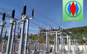 Một công ty bị xử phạt vì "giấu" lỗ năm 2023 - Ảnh 4.