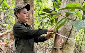 Thủ tướng yêu cầu Bộ Công an vào cuộc xử lý nghiêm các vụ "bỏ cọc", "lũng đoạn" đấu giá đất- Ảnh 2.