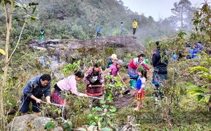 Lai Châu: Ra mắt tổ hợp tác "Sản xuất rau VietGAP" - Ảnh 5.