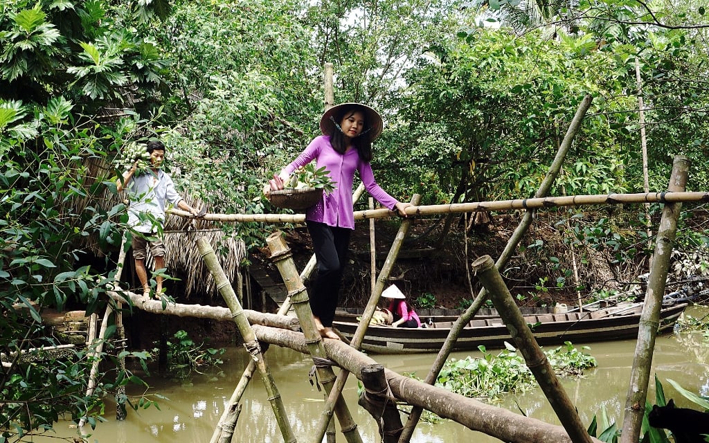 Sắc chiếu cỏ bàng- Ảnh 9.