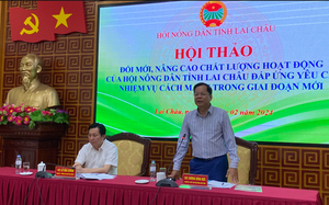 Lai Châu: Ra mắt tổ hợp tác "Sản xuất rau VietGAP" - Ảnh 4.