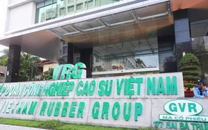 Tập đoàn Cao su Việt Nam (GVR) 