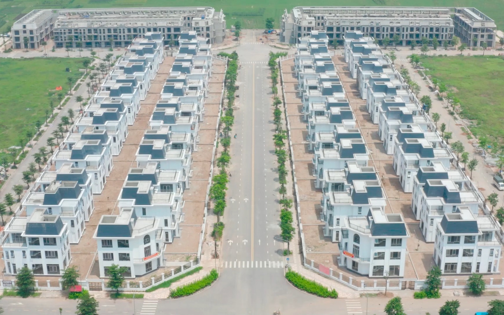 Chỉ đạo 