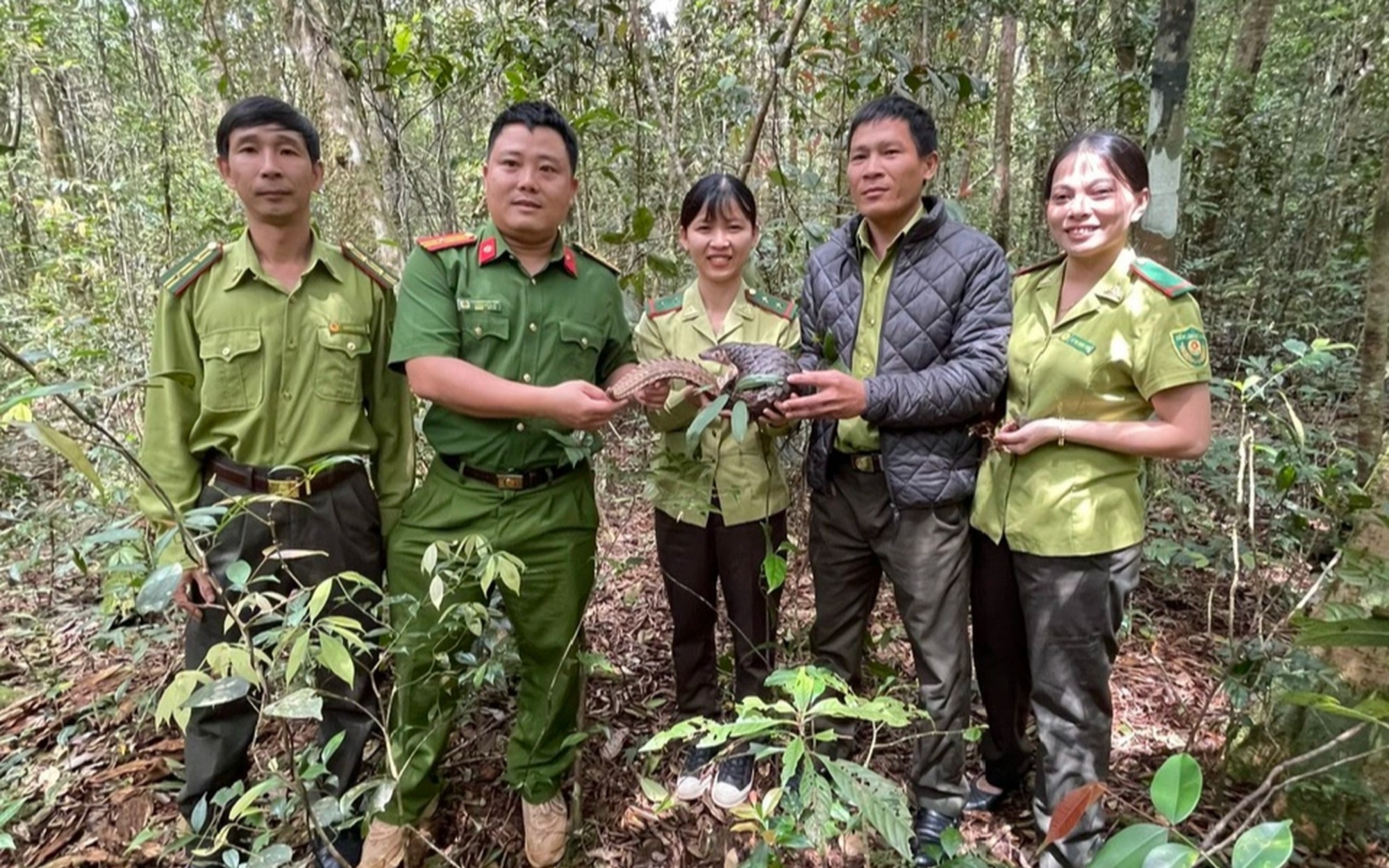 Đang đi chơi, 2 người Quảng Ngãi phát hiện một con động vật hoang dã có trong sách Đỏ bò qua đường