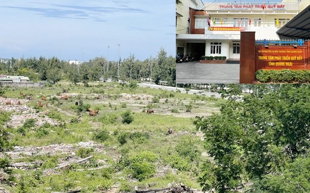 Nguồn thu tiền đấu giá sử dụng đất năm 2024 cho ngân sách Quảng Ngãi dự kiến giảm 
