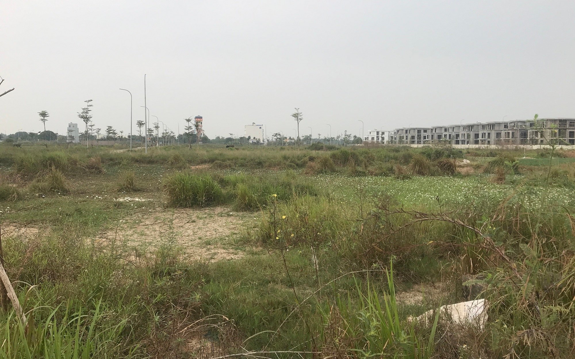 Luật Đất đai 2024 sớm có hiệu lực, hàng loạt dự án 
