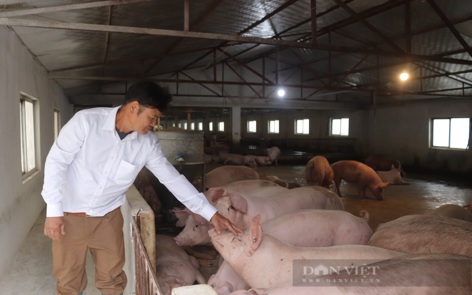 Hội Nông dân tỉnh Hoà Bình làm 