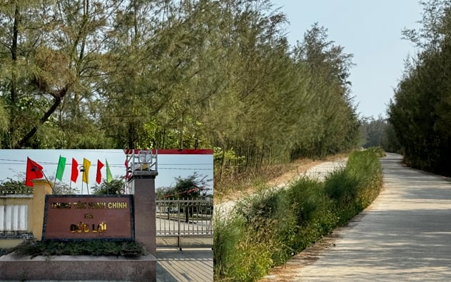 Quảng Ngãi: Nhìn lại tuyến đường 3,8 tỷ bị rút ruột làm Chủ tịch xã, cán bộ huyện tra tay vào còng- Ảnh 11.