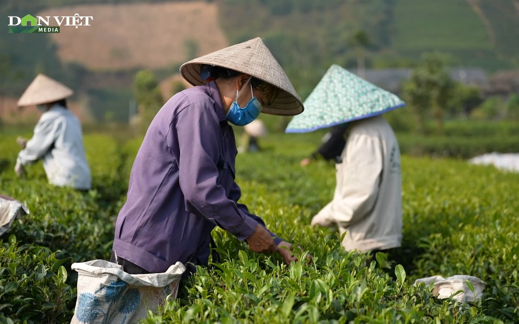 Khám phá khu du lịch sinh thái đẹp như tranh vẽ ở hồ Ghềnh Chè Thái Nguyên