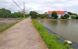 Huyện Nhà Bè hoàn thành nhiều tiêu chí huyện nông thôn mới nâng cao, gắn với đô thị hóa