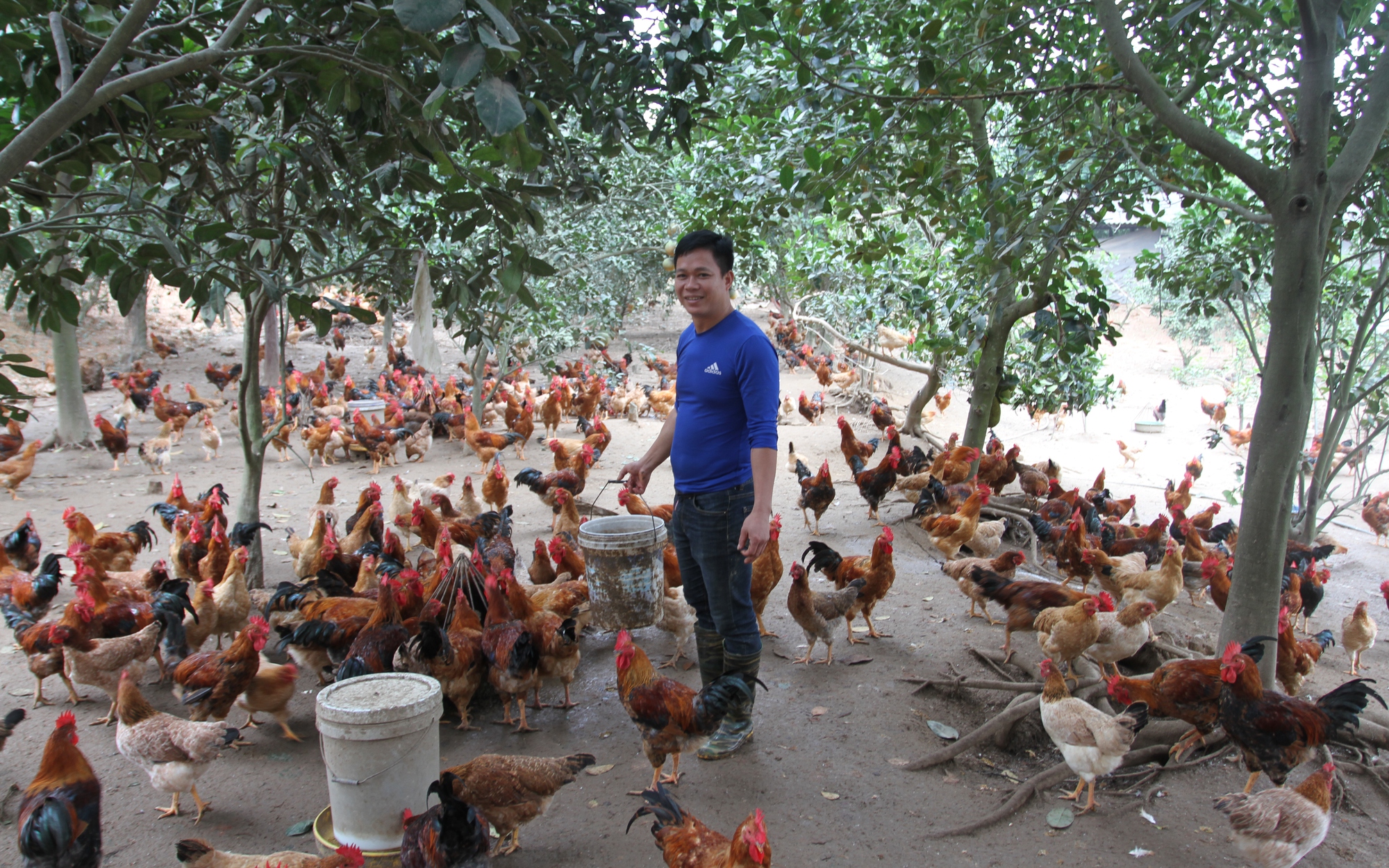 Nỗ lực kéo giảm tỷ lệ hộ nghèo ở một xã của Lai Châu - Ảnh 8.