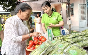 TP.HCM nhân rộng mô hình HTX nông nghiệp kiểu mới hiệu quả