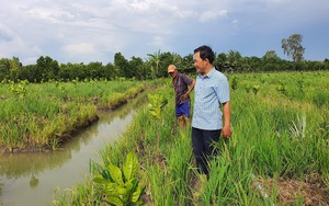 Chúng tôi từng “hoang mang không hề nhẹ” khi bắt tay “làm cỗ” đãi bạn đọc báo điện tử Dân Việt 