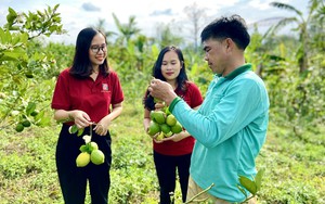 Agribank Quảng Trị và hành trình hiện thực hóa sứ mệnh “tam nông”