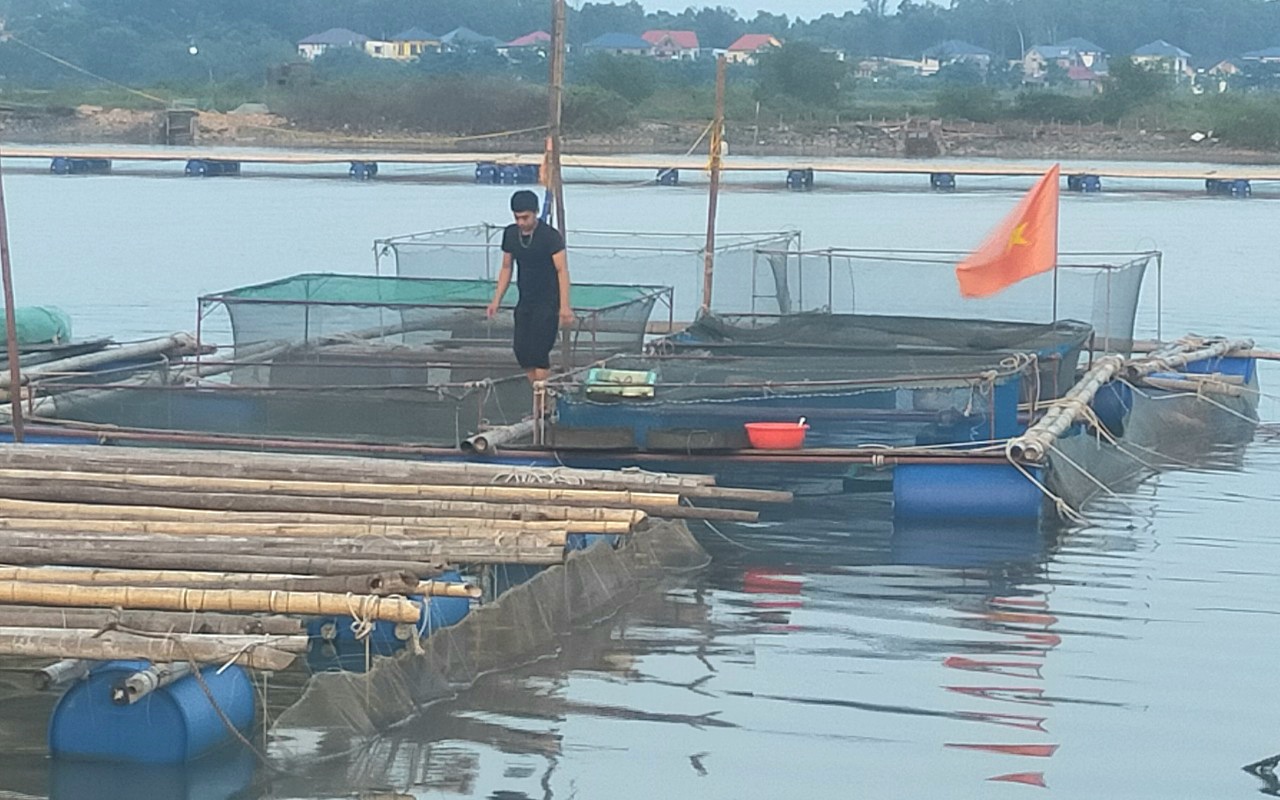Đài Loan (Trung Quốc) chi phối xuất khẩu hàu của Việt Nam - Ảnh 7.