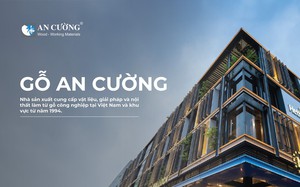 ĐHĐCĐ 2024: Gỗ An Cường (ACG) đặt mục tiêu 