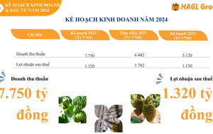 Hoàng Anh Gia Lai (HAG) trình kế hoạch lãi giảm 26%