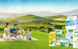 Cổ phiếu MCM của Mộc Châu Milk sẽ 