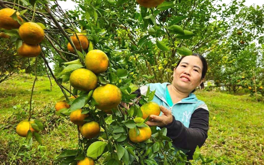Lãnh đạo UBND tỉnh Lai Châu kiểm tra tình hình sản xuất nông - lâm nghiệp tại huyện Nậm Nhùn- Ảnh 7.