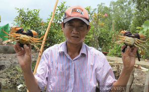 Gỡ nỗi lo sân bay Tân Sơn Nhất quá tải trên trời, dưới đất trong cao điểm Tết  - Ảnh 2.