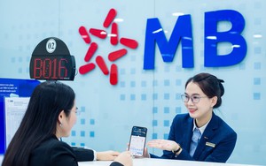 Lộ diện thêm 2 cổ đông nước ngoài mới sở hữu trên 1% vốn tại MBBank - Ảnh 4.