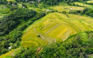 Hòa Bình: Dừng tổ chức Lễ hội ruộng bậc thang Miền Đồi để tập trung kinh phí khắc phục bão số 3 - Ảnh 2.