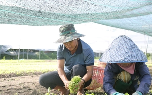 Thủ tướng Phạm Minh Chính: Chuyển đổi số là xu thế tất yếu, đến "từng ngõ, từng nhà, từng người" - Ảnh 7.